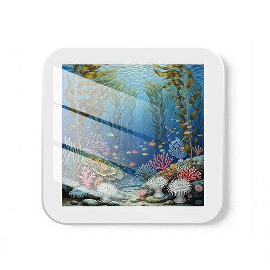 Aquatic Wonderland Coaster